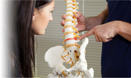 Dr. showing a Spinal Nerve